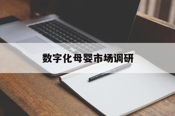 天水市数字化母婴市场调研(数字化母婴市场调研报告)